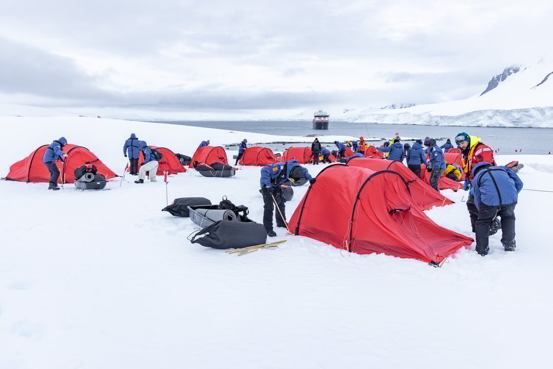 20241126-Antarctica-DamoyPoint-CampingSetUp-TedGatlin-4747-36444627-Photo_Ted_Gatlin