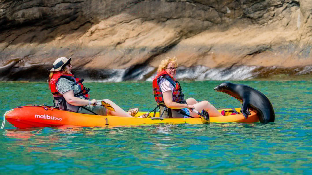 Gal_pagos_Islands_San_Crist_bal_Island_HX_43638