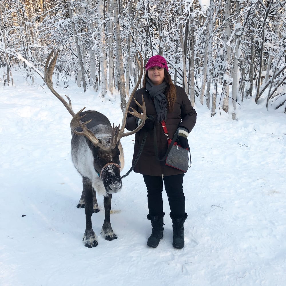 running reindeer ranch fairbanks alaska